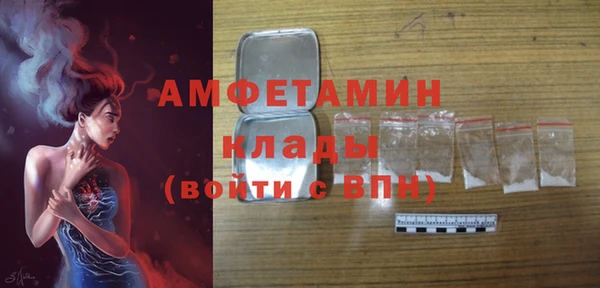 прущие грибы Михайловск