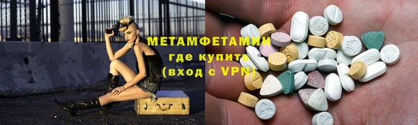 прущие грибы Михайловск