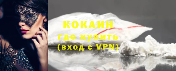 прущие грибы Михайловск