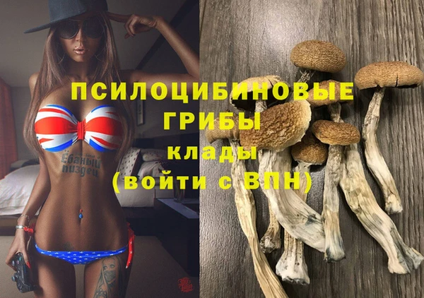 прущие грибы Михайловск