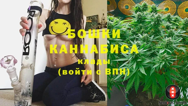 прущие грибы Михайловск