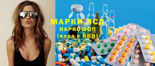 прущие грибы Михайловск
