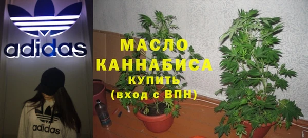 прущие грибы Михайловск