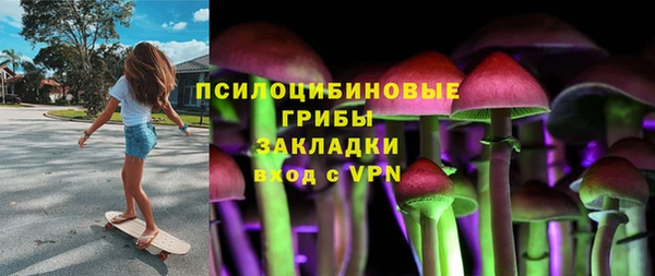 прущая мука Михайлов