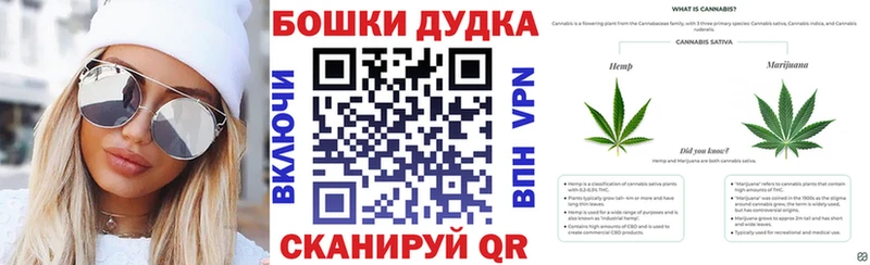 MEGA как войти  Сурск  shop формула  как найти закладки  Бошки марихуана планчик 